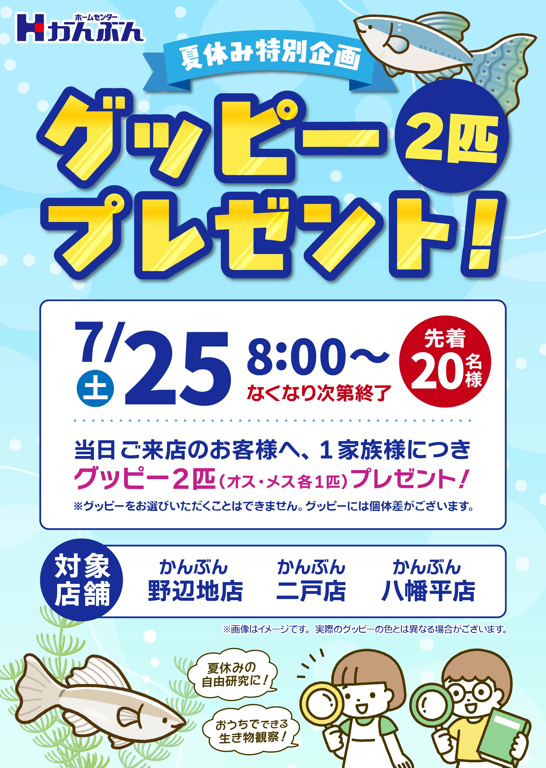 グッピープレゼント 2026年7月25日(土)